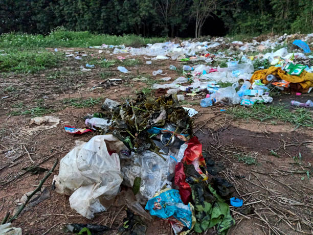 istock Plastic waste in the village 1354152613