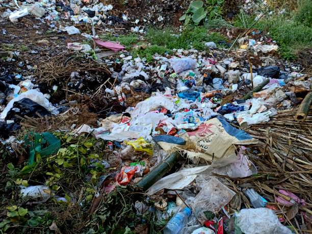 istock Plastic waste in the village 1354152758