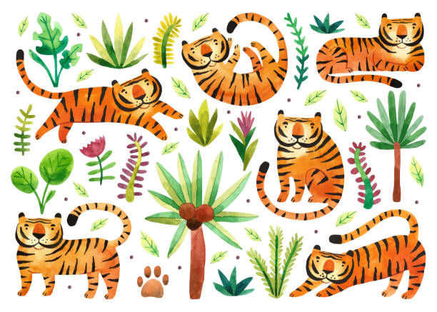 stockillustraties, clipart, cartoons en iconen met tigers in rainforest. big wild cats and tropical plants. zodiac symbol of the year. watercolor hand drawn illustration. - watercolour jungle