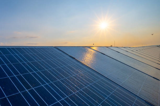istock Rows of photovoltaic rooftop panels 1354157212