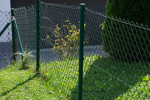 metal mesh fence colored green separates property from others as security and protection from animals
