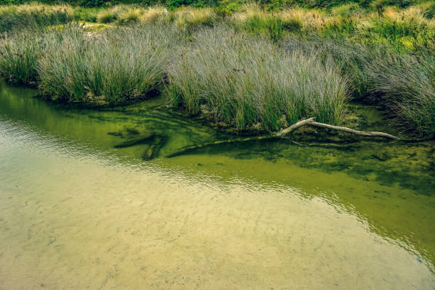 istock A small river in the outback of Australia. 1354166095