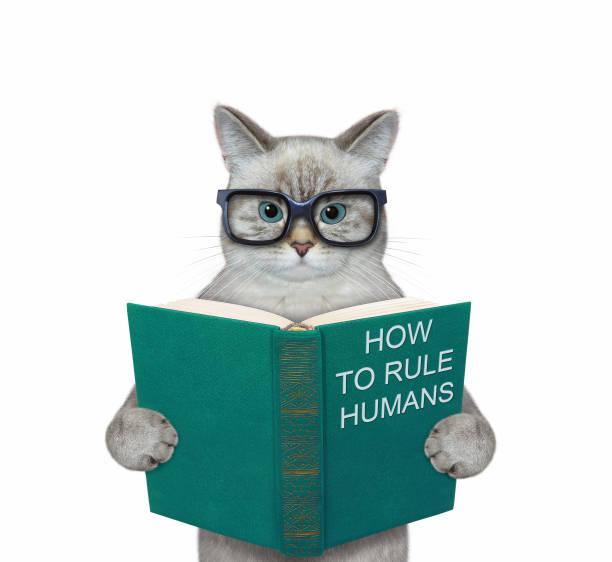 istock Cat ashen in eyeglasses reads green book 1354170665