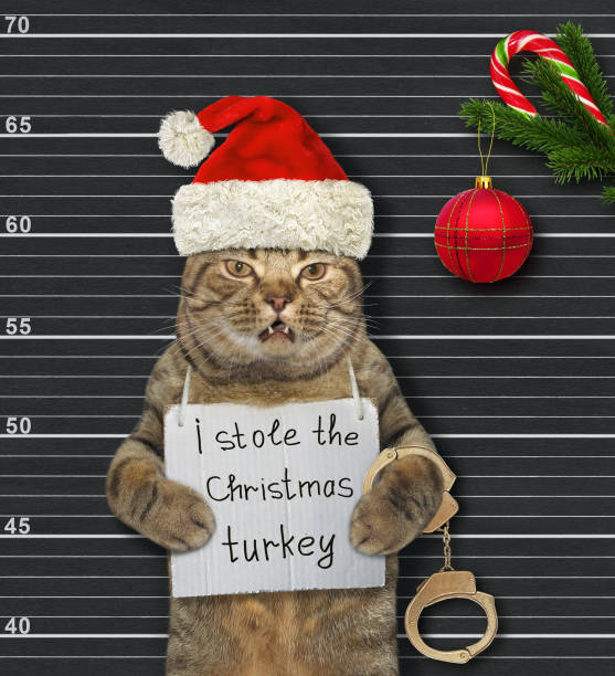 istock Cat stole Christmas turkey 2 1354170672