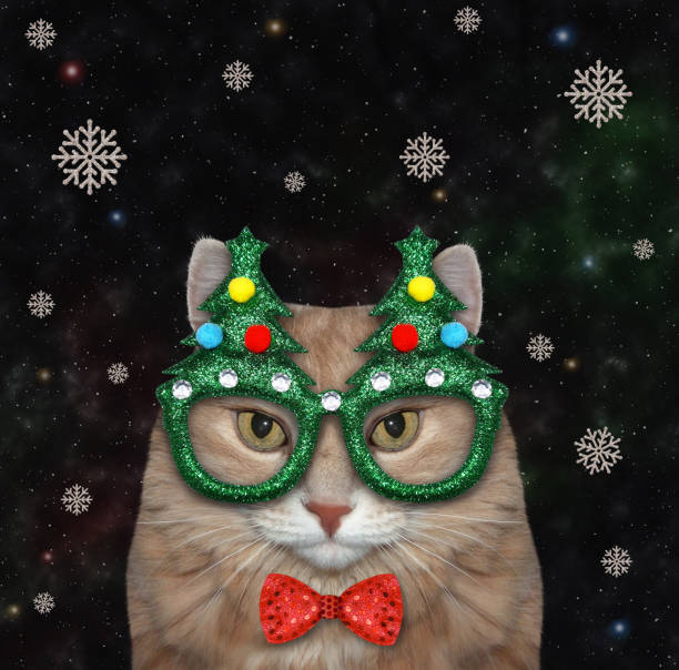 istock Cat ginger in Christmas mask at night 1354170678