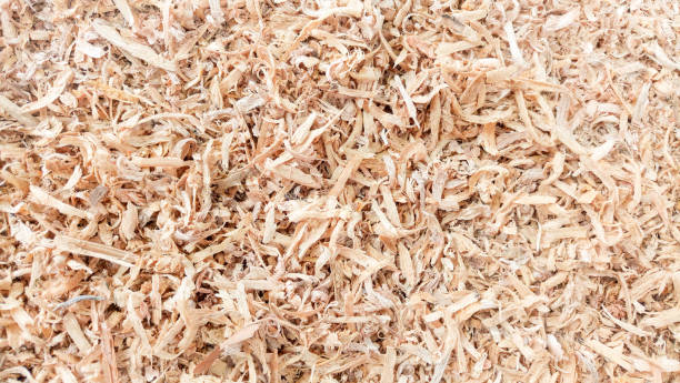 istock Sawdust or wood dust background 1354172451