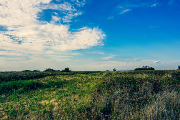 Cloudy skies over a rural Vancouver Island field.