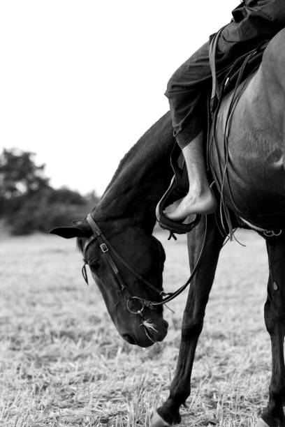 istock Horseback riding in black and white. 1354174845