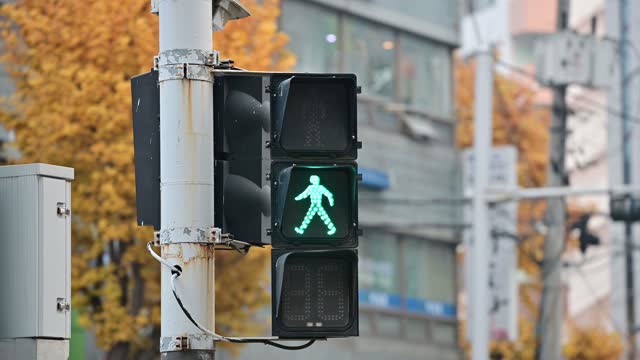 The traffic light changes from a stop signal to a walking signal.