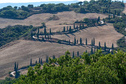 Val d'Orcia, Tuscany, Italy. August 2020. Stunning Tuscan countryside landscape near La Foce, the famous and symbolic winding zigzag road lined with cypresses on a hill.