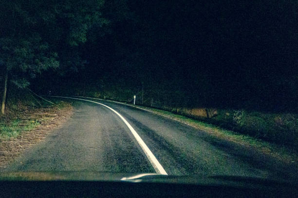 istock Drive through a forest in Australia. 1354181336