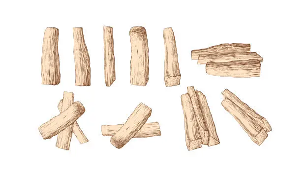 Vector illustration of Texture tree, firewood set. Vector vintage sketch