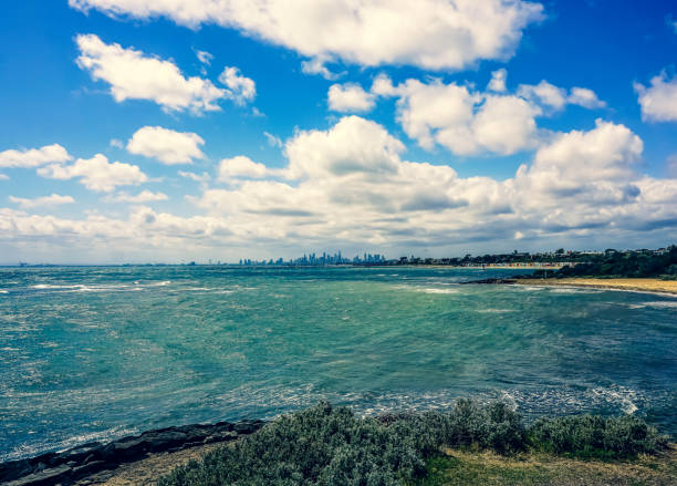 istock View over plants to the beach and ocean in Australia. 1354183165