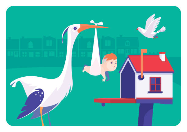 stork delivering baby and meeting dove vector illustration of stork delivering baby and meeting dove funny pregnancy announcements stock illustrations
