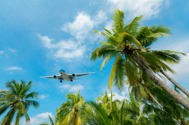istock airplane flying over tropical palm trees. clear blue sky vacation time. 1354184635