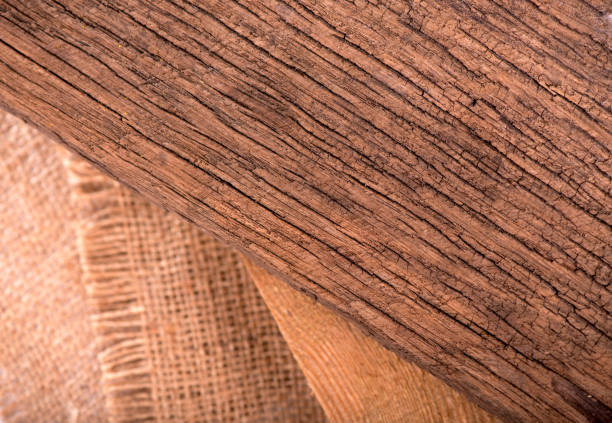 texture of bark wood use as natural background