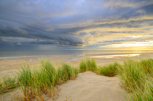 Sunrise in the dunes at Texel island with a storm cloud approaching over the Wadden sea at the North point of the island facing the Wadden Sea and Vlieland.