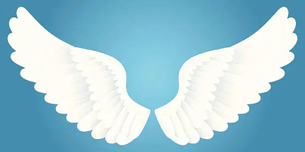 Vector illustration of White wings.