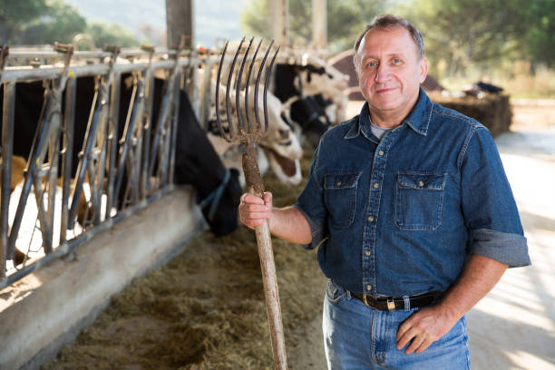 istock Confident man owner of dairy farm 1354192898