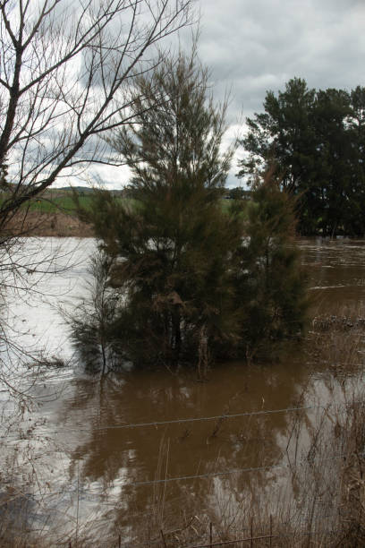 istock flooded riverbank 1354192919