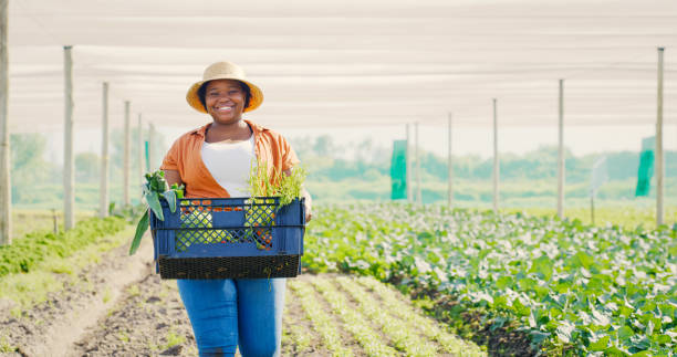 foto de una mujer joven que llevaba una caja de cultivos recién cosechados de su granja - africa farmer african descent agriculture fotografías e imágenes de stock