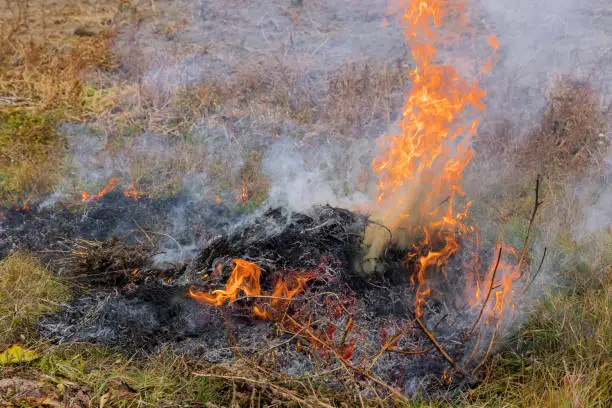 Burning fire of dry grass smoke from burning leaves burning is bad for the environment