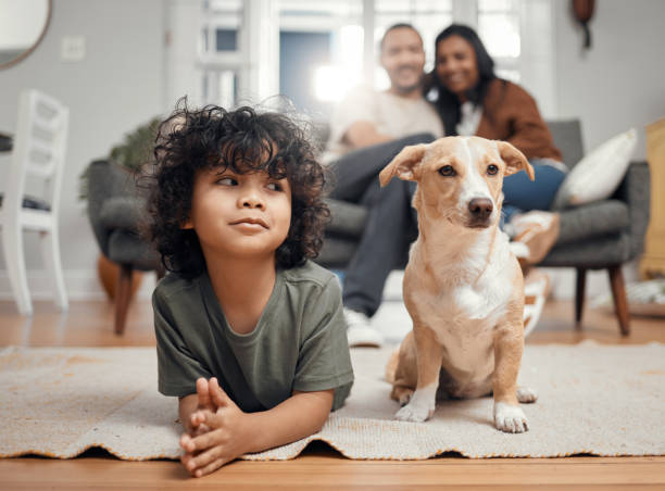aufnahme eines kleinen jungen, der sich mit seinem hund verbindet, während seine eltern im hintergrund sitzen - haustier stock-fotos und bilder