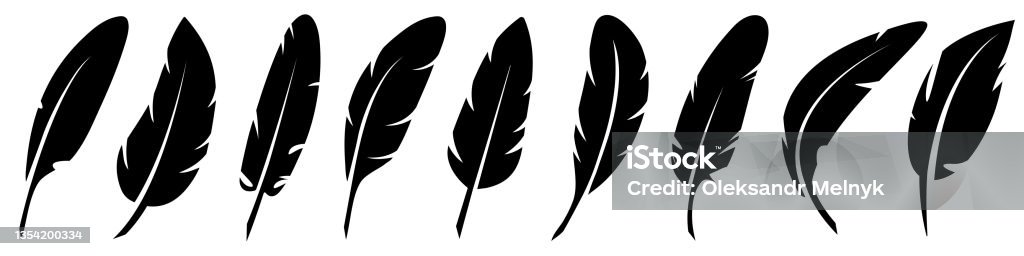 Feather Element Design Vector Feathers Set Elements For Design Isolated On White Stock ...