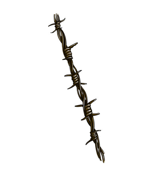 istock Barbed wire from a splash of watercolor, colored drawing, realistic 1354201379