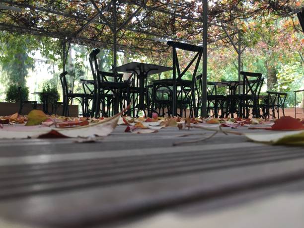 istock Leafs in an Abandoned Cafe in Autumn 1354202605