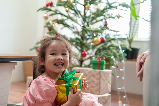 Portrait of little cute girl hugging Christmas present while sitting on the floor near Christmas tree. Cheerful girl smiling and enjoying with her gift box and looking at camera.