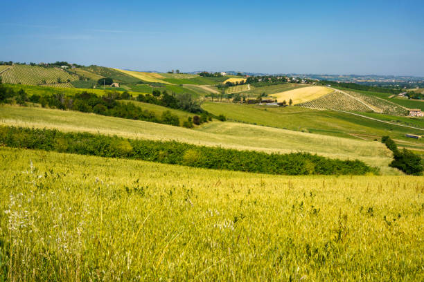 istock Rural landscape near Rimini and Verucchio, Emilia-Romagna 1354204958