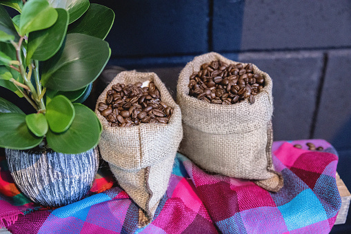 Roasted coffee beans in two burlap sacks on colorful cloth leaning on the wall by potted plant