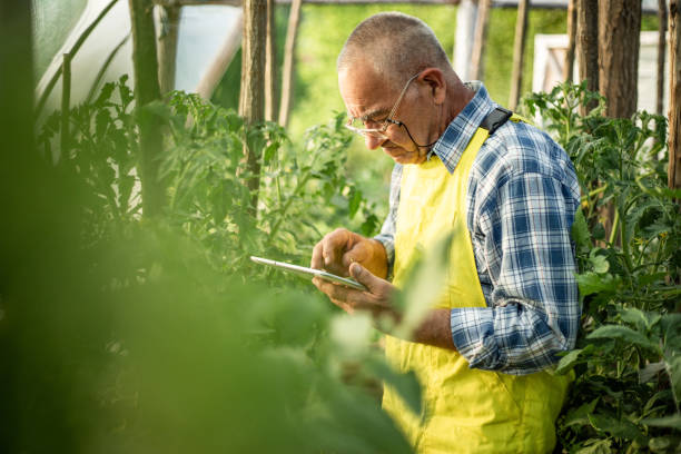 istock A mature farmer works in a farm garden 1354207541