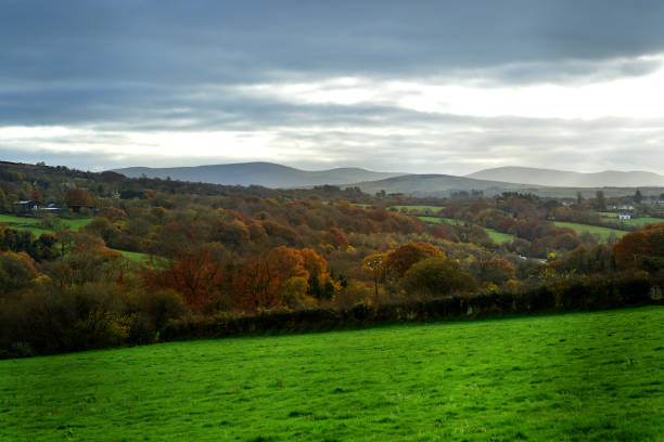 istock County Londonderry landscape in Autumn 1354209719
