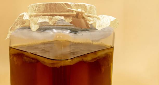 tè nero kombucha in un contenitore di vetro. la cultura dei funghi scoby è vista - kombu foto e immagini stock