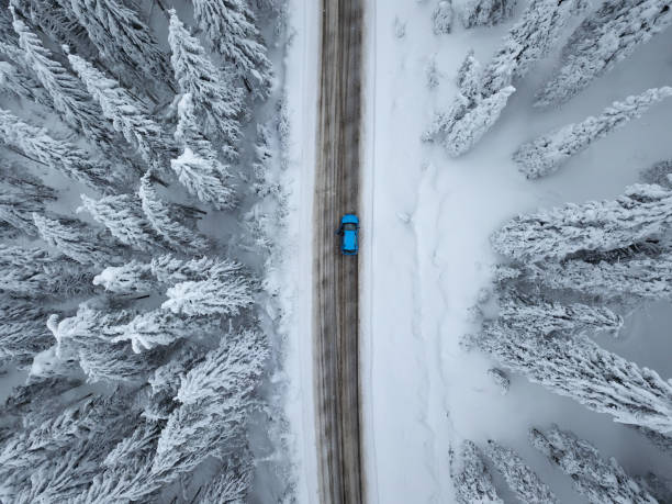 istock Winter wonderland 1354212336