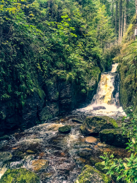istock A waterfall in the Black Forest in Germany. 1354214412
