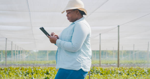 istock Shot of a young woman using a digital tablet while working on a farm 1354215196