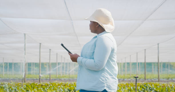 istock Shot of a young woman using a digital tablet while working on a farm 1354215197