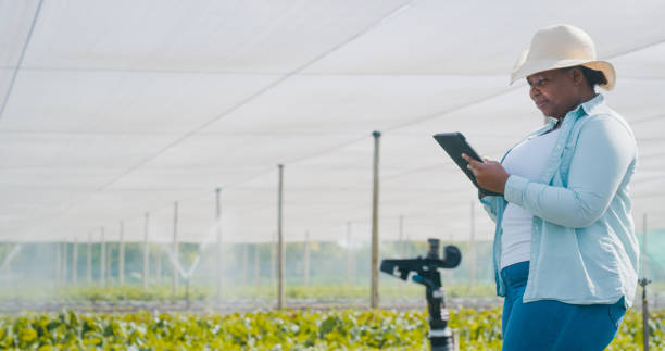 istock Shot of a young woman using a digital tablet while working on a farm 1354215200