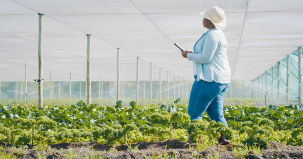 istock Shot of a young woman using a digital tablet while working on a farm 1354215206