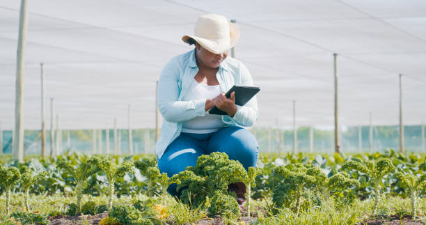istock Shot of a young woman using a digital tablet while working on a farm 1354215210