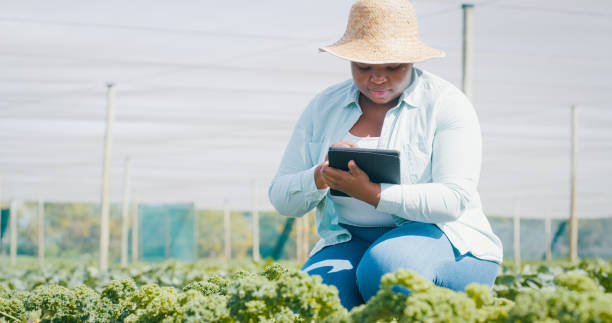 istock Shot of a young woman using a digital tablet while working on a farm 1354215211