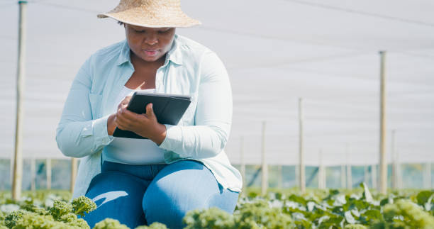istock Shot of a young woman using a digital tablet while working on a farm 1354215222