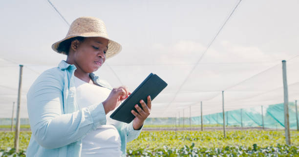 istock Shot of a young woman using a digital tablet while working on a farm 1354215260