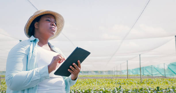 istock Shot of a young woman using a digital tablet while working on a farm 1354215262