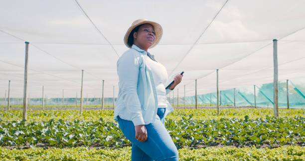 istock Shot of a young woman using a digital tablet while working on a farm 1354215268