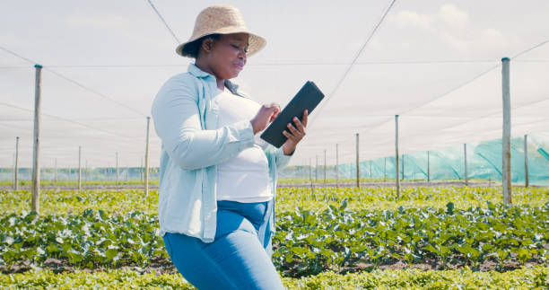 istock Shot of a young woman using a digital tablet while working on a farm 1354215274