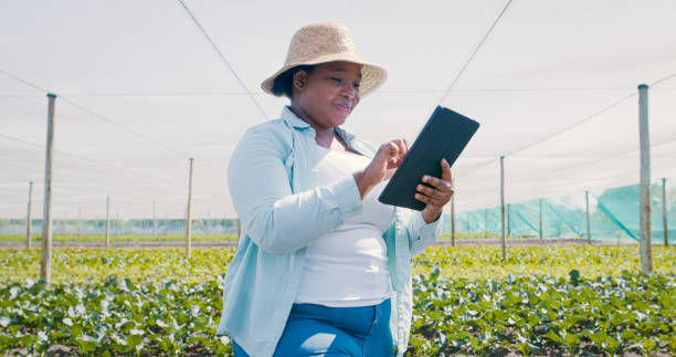 istock Shot of a young woman using a digital tablet while working on a farm 1354215287